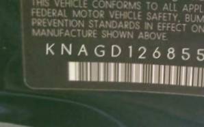 VIN prefix KNAGD1268553