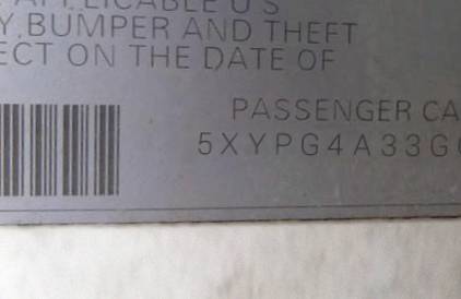 VIN 5XYPG4A33GG054956