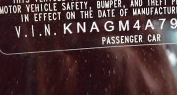 VIN KNAGM4A79E5499765